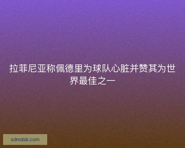 拉菲尼亚称佩德里为球队心脏并赞其为世界最佳之一 拉菲尼亚称佩德里为球队心脏并赞其为世界最佳之一