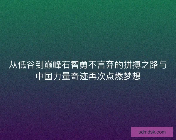 从低谷到巅峰石智勇不言弃的拼搏之路与中国力量奇迹再次点燃梦想